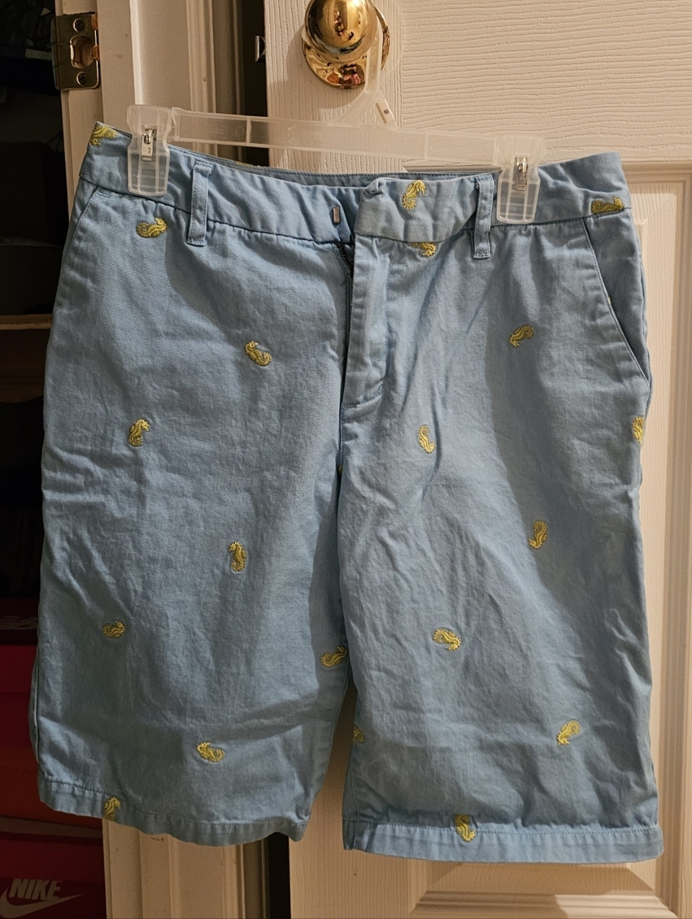 Light Blue Embroidered Ladies Shorts
